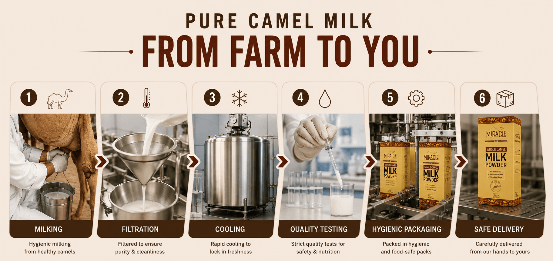 Miracle Camel Milk | Pure & Fresh Camel Milk in Pakistan | Miracle Camel Milk | Pure & Fresh Camel Milk Powder in Pakistan