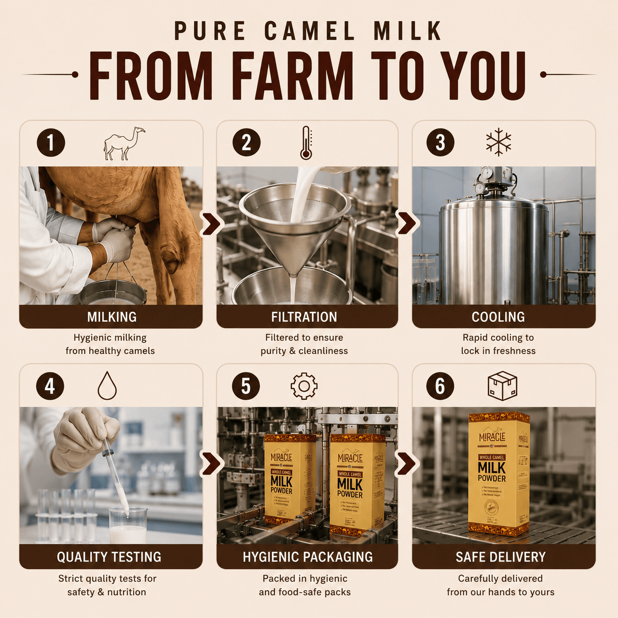 Miracle Camel Milk | Pure & Fresh Camel Milk in Pakistan | Miracle Camel Milk | Pure & Fresh Camel Milk Powder in Pakistan